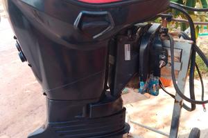 evinrude e-tec 40 cv