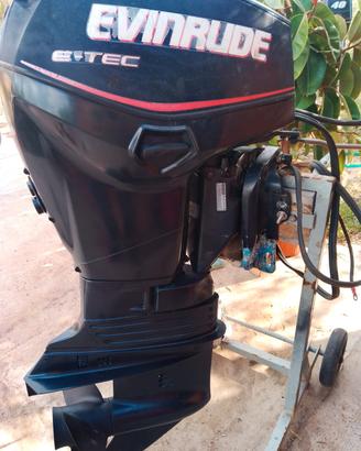 evinrude e-tec 40 cv