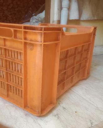Cassette impilabili in plastica forata