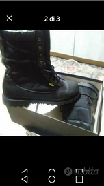 ANFIBI PROFESSIONALI