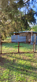 Terreno agricolo e trattore