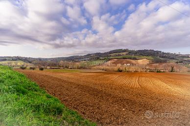 Terreno agricolo a Civitanova Marche 1 locali