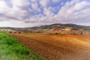 Terreno agricolo a Civitanova Marche 1 locali