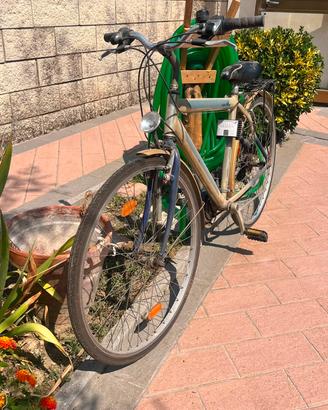 bicicletta uomo