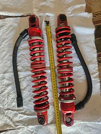 ammortizzatori bitubo