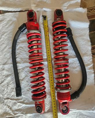 ammortizzatori bitubo