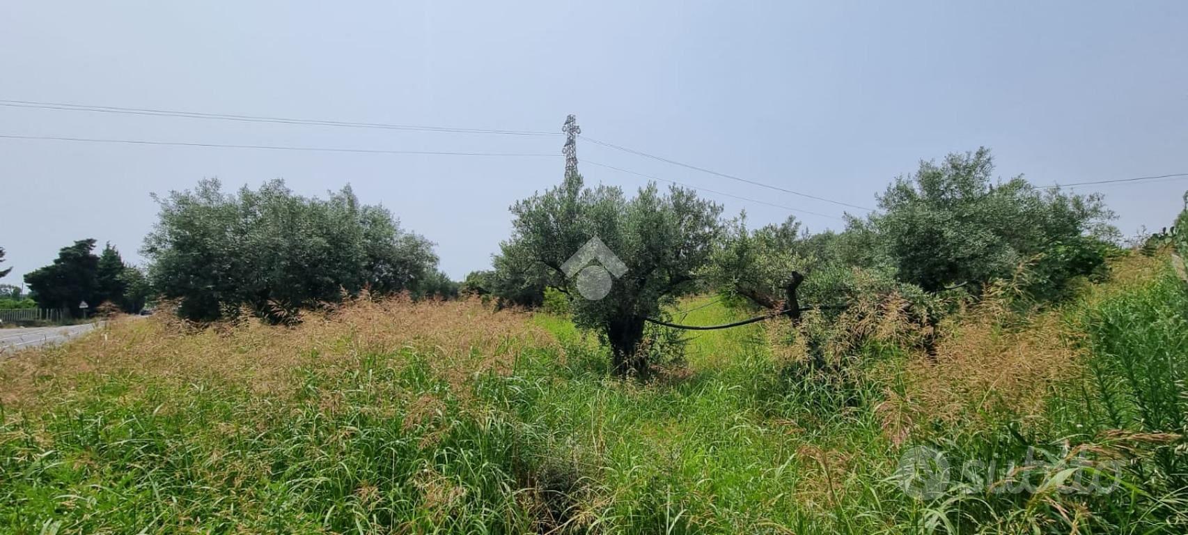 TER. AGRICOLO A CATANZARO - Vista 2