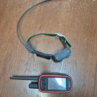 Palmare garmin alpha 100 e collare tt15 mini