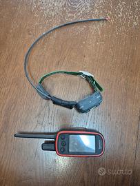 Palmare garmin alpha 100 e collare tt15 mini