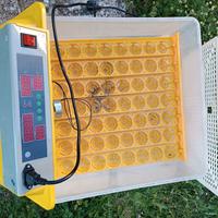  utilincubatrice pe uova galline  oca tacchino
