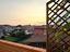 Immagine 13