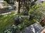 Immagine 26