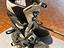 Immagine 5