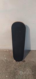 Skate board