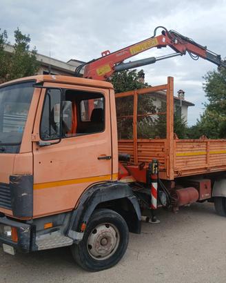  autocarro con gru