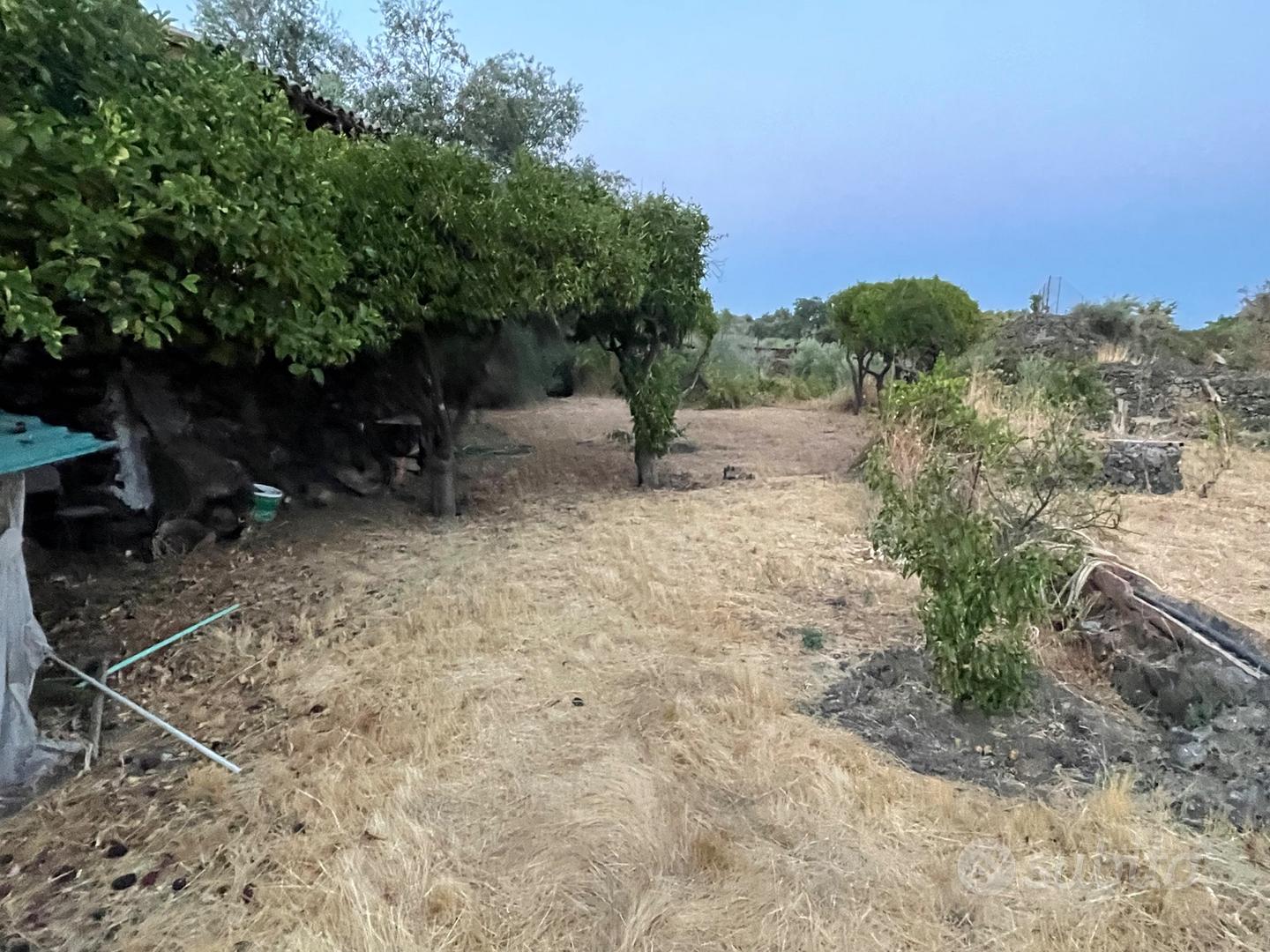 Terreno agricolo - Vista 5