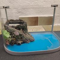 Acquario Tartarughiera 