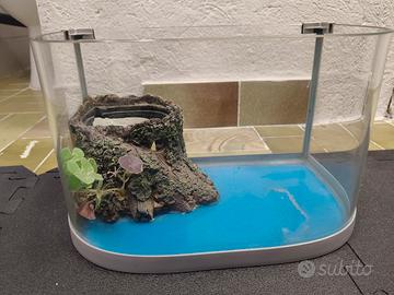 Acquario Tartarughiera 