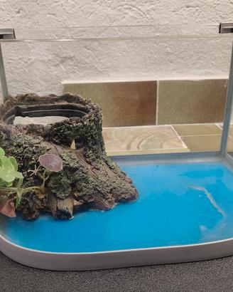 Acquario Tartarughiera 