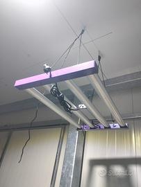 lampade led cultilite