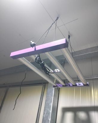 lampade led cultilite