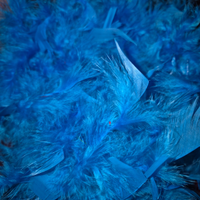 3xGhirlanda di piume