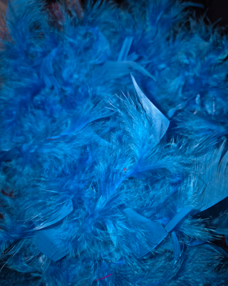 3xGhirlanda di piume