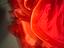Immagine 6