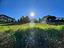 Immagine 9