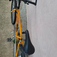 Bicicletta Specialized