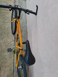 Bicicletta Specialized