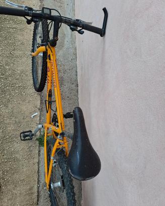 Bicicletta Specialized