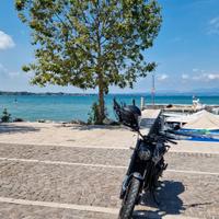 benelli leoncino 500 trail