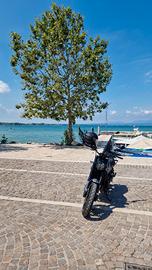 benelli leoncino 500 trail