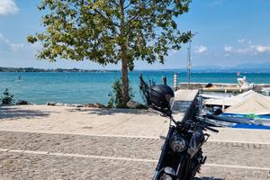 benelli leoncino 500 trail