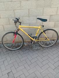 Bicicletta