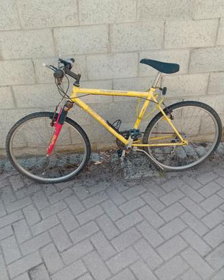 Bicicletta