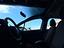 Immagine 9