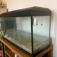 Acquario 80L