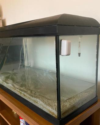 Acquario 80L