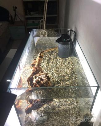 ACQUARIO PER PESCI TETRA 54l
