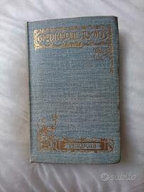 GUIDA CITTA' IN INGLESE "MEDIAEVAL TOWNS"