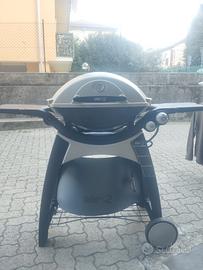 barbecue Weber q300