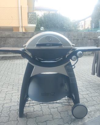 barbecue Weber q300