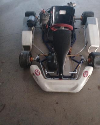 kart 100