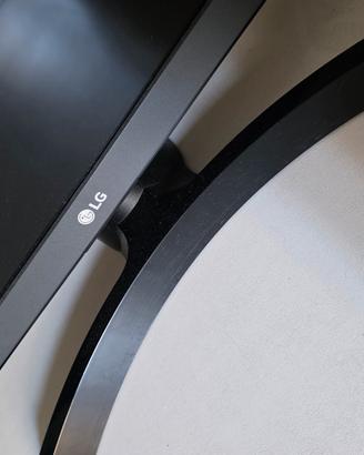monitor LG 24 pollici smart tv