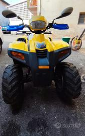 Altro Altro modello - 2024