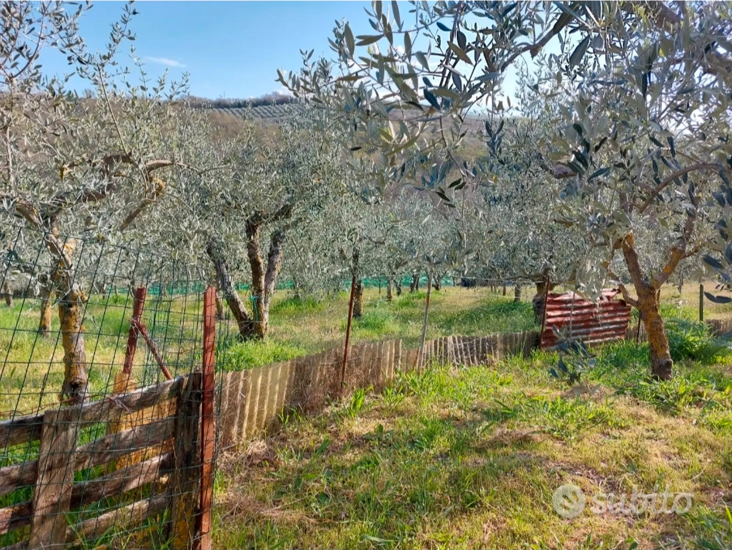 Terreno agricolo a San Quirico d'Orcia in Località - Vista 4