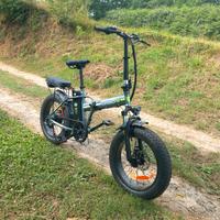 Bicicletta elettrica a pedalata assis"bomber 1one"