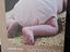 Immagine 1